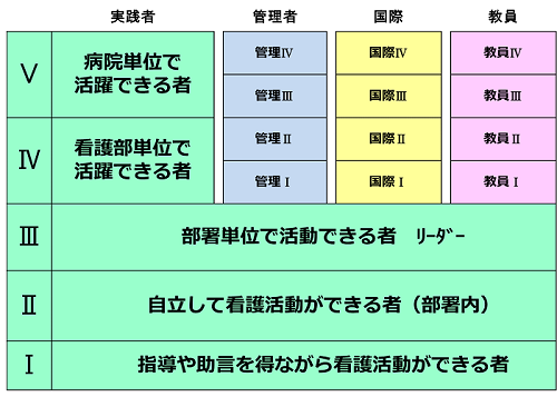 キャリアラダー全体構造図W500