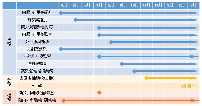 薬剤部新人教育　図