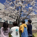 2023桜と学生案内用 065