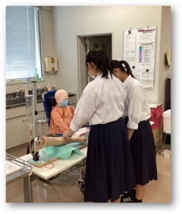 採血する血管はこれかな？