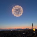 80年目の白菊