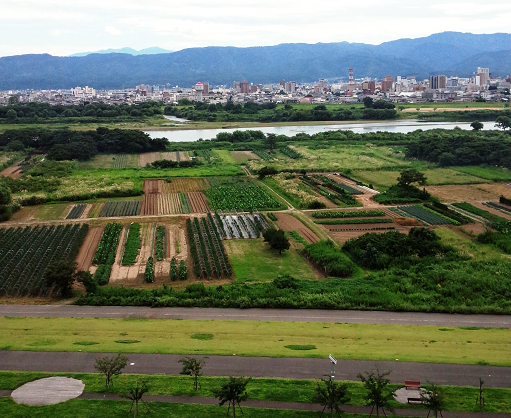 化学療法室景色1